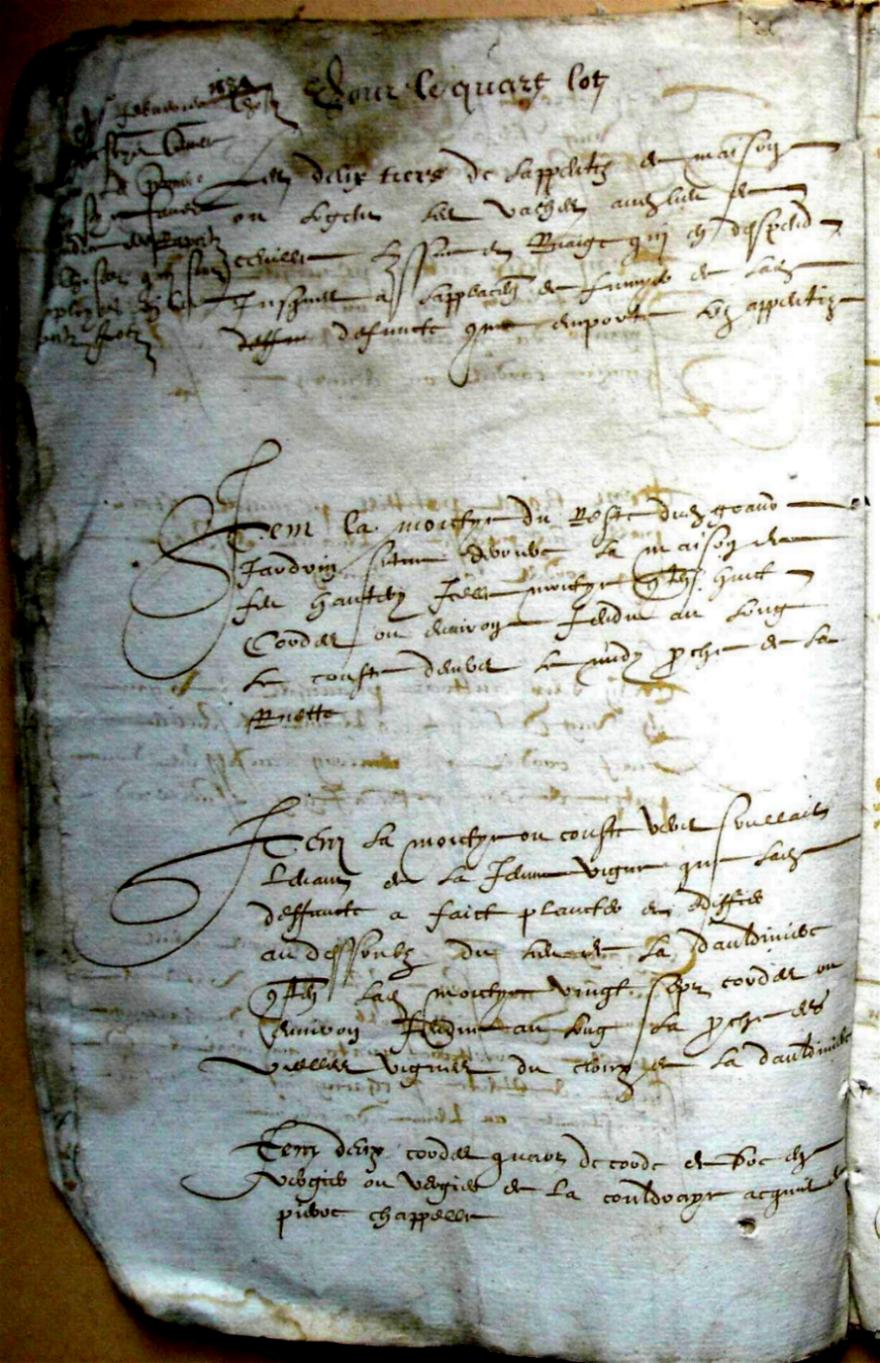 Thieurine_1589 (12).JPG